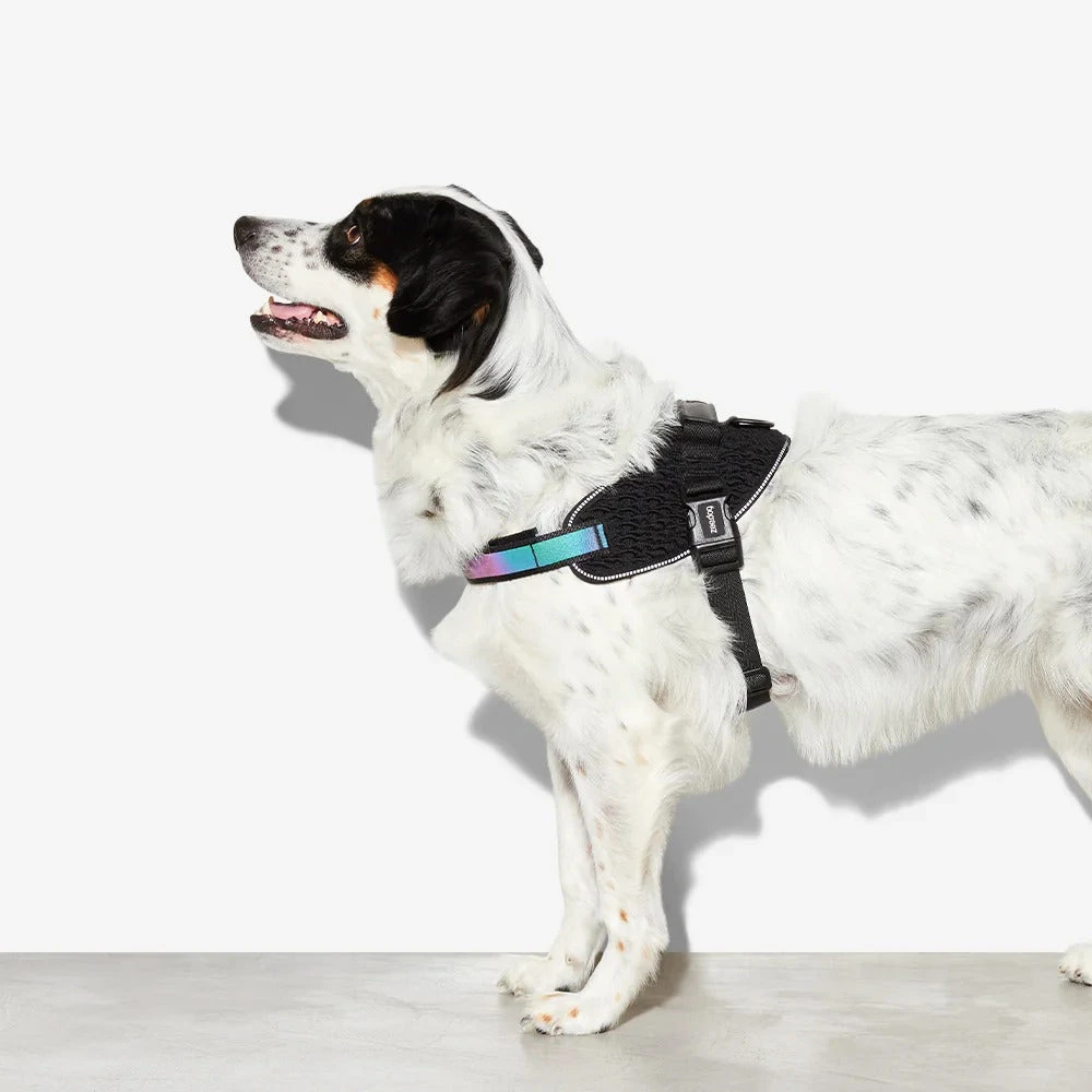 Zee Dog Gotham Dog Flyharness 8 Zee Dog Gotham Dog Flyharness - Image 6